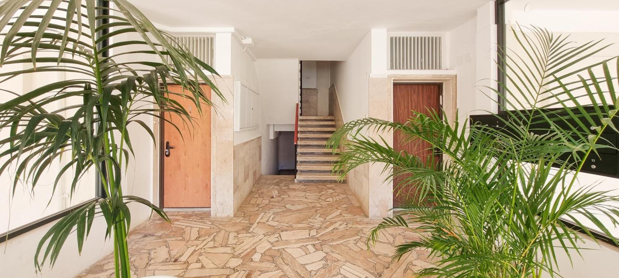 Bnb Israel Apartments - Harav Kook Lilas เทลอาวีฟ ภายนอก รูปภาพ